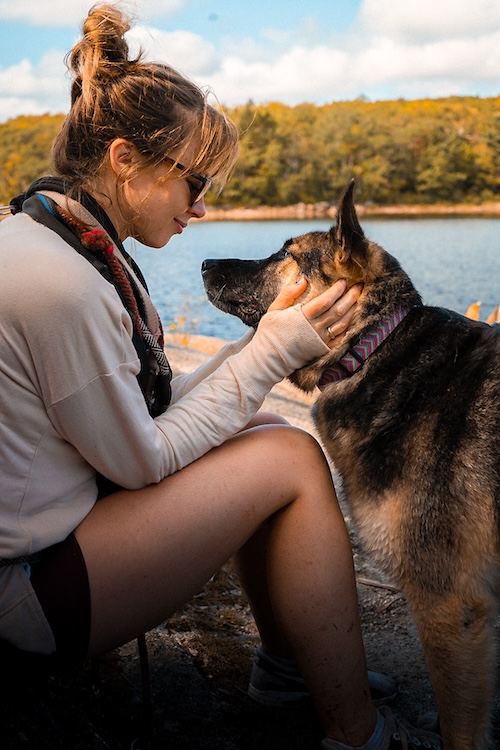 Halifax dog trainer kristy