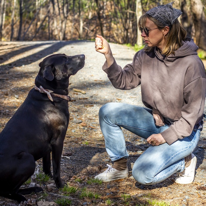 Dog trainer Kristy in halifax